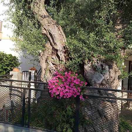 הוילה Skála Kallirákhis Aegean Balcony מראה חיצוני תמונה