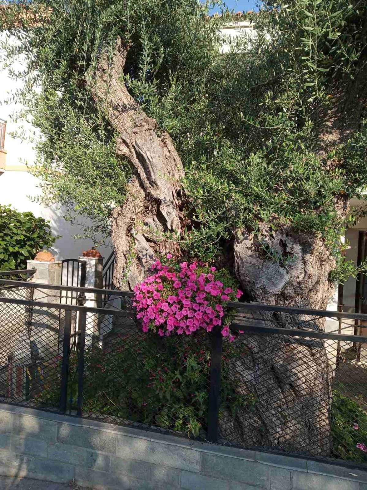 הוילה Skála Kallirákhis Aegean Balcony מראה חיצוני תמונה